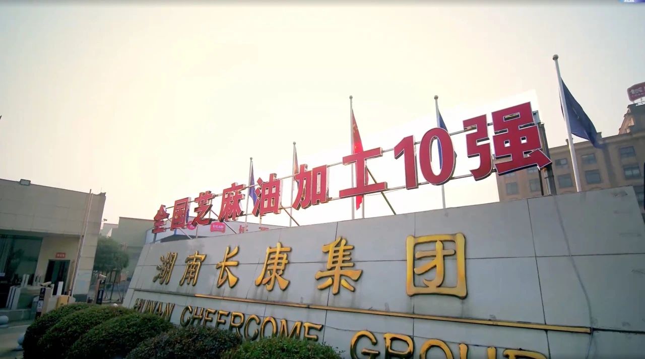 在傳承與創(chuàng)新中砥礪前行，長康老字號(hào)再獲殊榮！